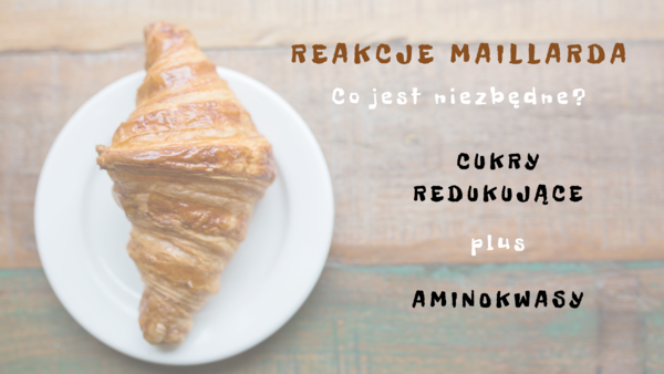 reakcje maillarda co jest niezbędne do ich zajścia