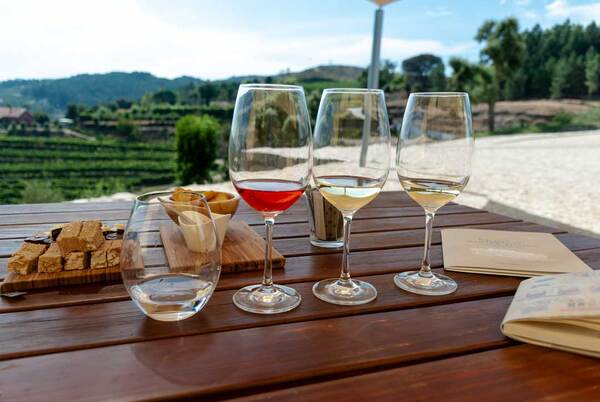 co to zielone wino zielone
