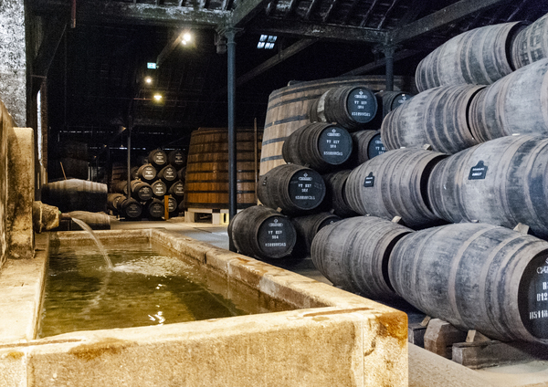 piwnica na wino portugalska winnica porto