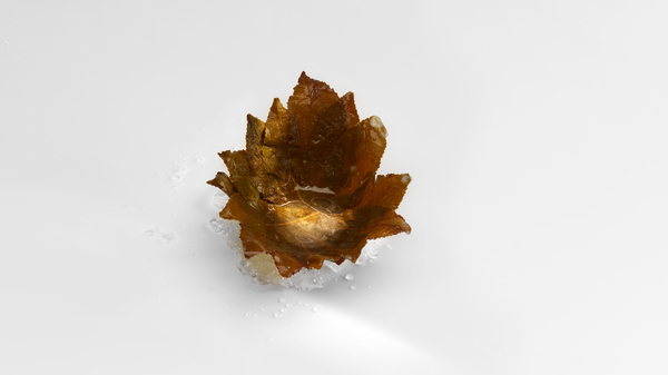 culinary innovation mugaritz restaurant